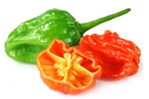 Chili Anbau Set online kaufen - Pepperworld Hot Shop