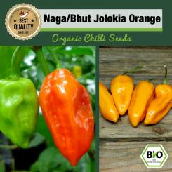 Organic Naga/Bhut Jolokia Orange Chilli Seeds 